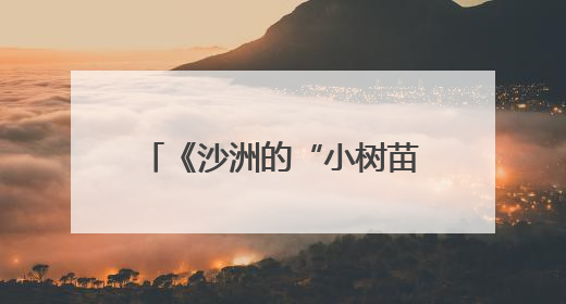 《沙洲的“小树苗”》新书首发式：让红色文化在新时代少年心中绽放