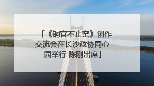 《铜官不止窑》创作交流会在长沙政协同心园举行 陈刚出席