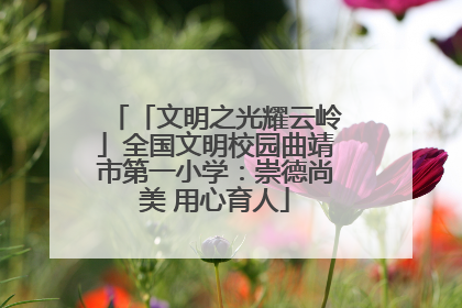 「文明之光耀云岭」全国文明校园曲靖市第一小学：崇德尚美 用心育人