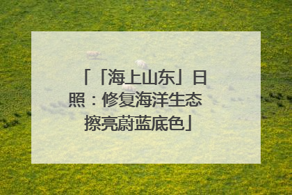 「海上山东」日照：修复海洋生态 擦亮蔚蓝底色
