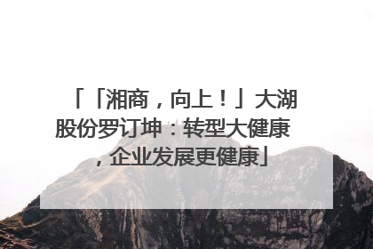 「湘商，向上！」大湖股份罗订坤：转型大健康，企业发展更健康