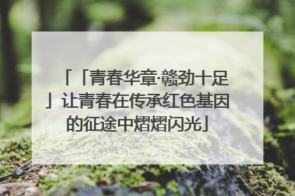 「青春华章·赣劲十足」让青春在传承红色基因的征途中熠熠闪光