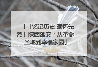 「铭记历史 缅怀先烈」陕西延安：从革命圣地到幸福家园