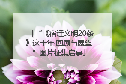 “《宿迁文明20条》这十年·回顾与展望”图片征集启事