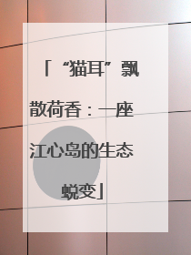 “猫耳”飘散荷香：一座江心岛的生态蜕变