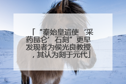 “秦始皇遣使‘采药昆仑’石刻”更早发现者为侯光良教授，其认为刻于元代
