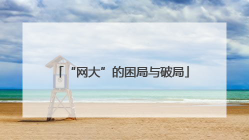 “网大”的困局与破局
