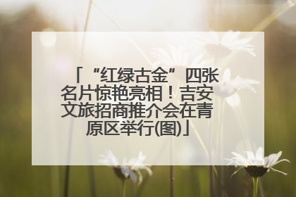 “红绿古金”四张名片惊艳亮相！吉安文旅招商推介会在青原区举行(图)