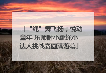 “绳”舞飞扬，悦动童年 乐师附小跳绳小达人挑战赛圆满落幕