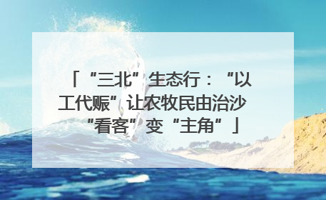 “三北”生态行：“以工代赈”让农牧民由治沙“看客”变“主角”