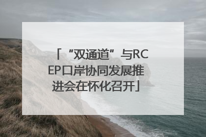 “双通道”与RCEP口岸协同发展推进会在怀化召开