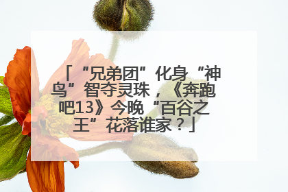 “兄弟团”化身“神鸟”智夺灵珠，《奔跑吧13》今晚“百谷之王”花落谁家？