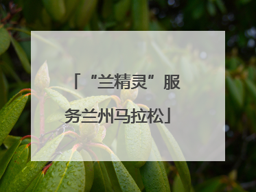 “兰精灵”服务兰州马拉松