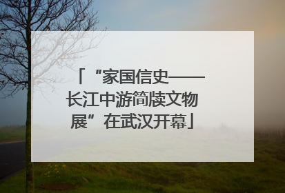 “家国信史——长江中游简牍文物展”在武汉开幕
