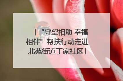 “守望相助 幸福相伴”帮扶行动走进北苑街道丁家社区