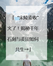 “宋陵麦收”火了！揭秘千年石刻与麦田如何共生→