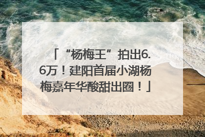“杨梅王”拍出6.6万！建阳首届小湖杨梅嘉年华酸甜出圈！