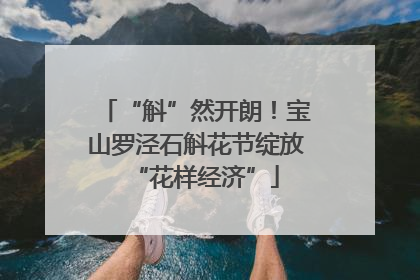 “斛”然开朗！宝山罗泾石斛花节绽放“花样经济”