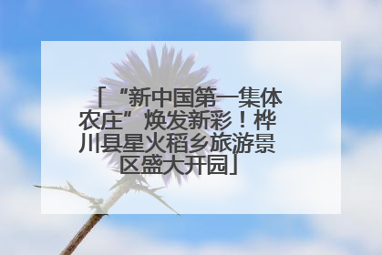“新中国第一集体农庄”焕发新彩！桦川县星火稻乡旅游景区盛大开园