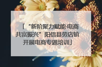“新阶聚力赋能·电商共富振兴”阳信县劳店镇开展电商专题培训