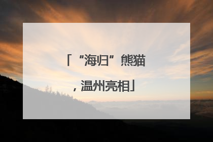 “海归”熊猫，温州亮相