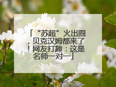 “苏超”火出圈，贝克汉姆都来了！网友打趣：这是名师一对一