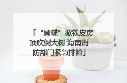 “蝴蝶”掀铁皮房顶吹倒大树 海南消防部门紧急排险