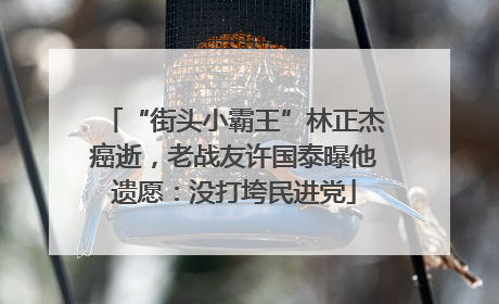“街头小霸王”林正杰癌逝，老战友许国泰曝他遗愿：没打垮民进党