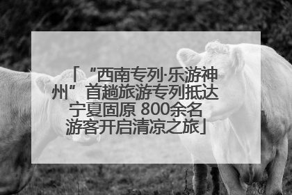 “西南专列·乐游神州”首趟旅游专列抵达宁夏固原 800余名游客开启清凉之旅