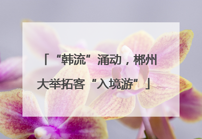 “韩流”涌动，郴州大举拓客“入境游”