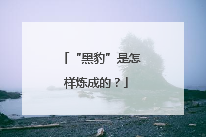 “黑豹”是怎样炼成的？