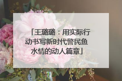 王璐璐：用实际行动书写新时代警民鱼水情的动人篇章
