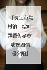 灵宝市焦村镇：粽叶飘香传孝意 志愿温情暖夕阳