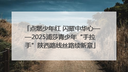 点燃少年红 闪耀中华心——2025浦莎青少年“手拉手”陕西路线丝路续新章