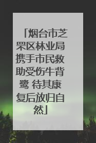 烟台市芝罘区林业局携手市民救助受伤牛背鹭 待其康复后放归自然