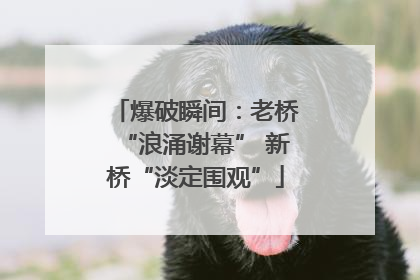 爆破瞬间：老桥“浪涌谢幕” 新桥“淡定围观”