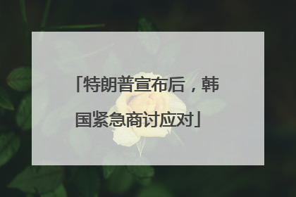 特朗普宣布后，韩国紧急商讨应对