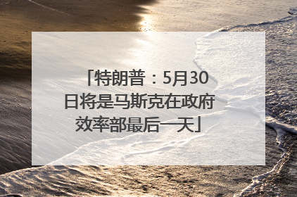 特朗普：5月30日将是马斯克在政府效率部最后一天