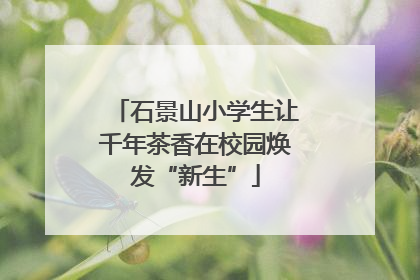 石景山小学生让千年茶香在校园焕发“新生”