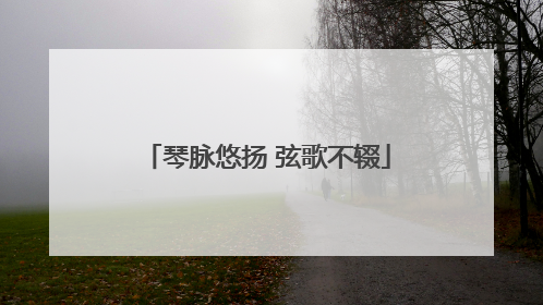 琴脉悠扬 弦歌不辍