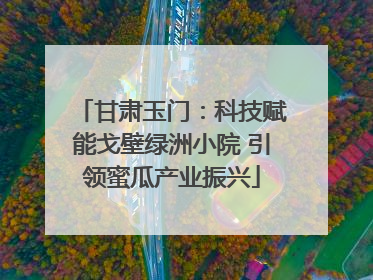 甘肃玉门：科技赋能戈壁绿洲小院 引领蜜瓜产业振兴