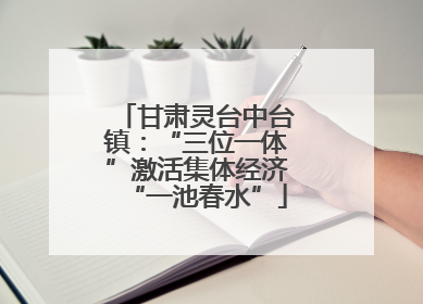 甘肃灵台中台镇：“三位一体”激活集体经济“一池春水”