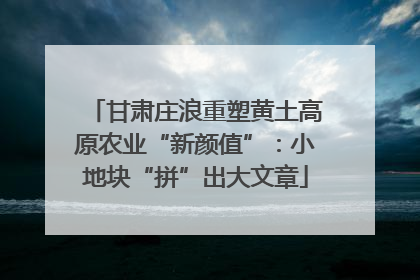 甘肃庄浪重塑黄土高原农业“新颜值”：小地块“拼”出大文章