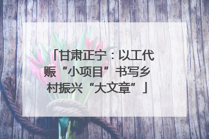 甘肃正宁：以工代赈“小项目”书写乡村振兴“大文章”