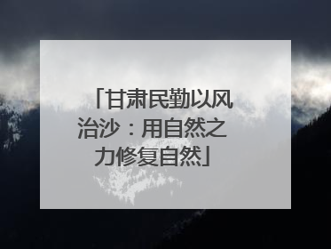 甘肃民勤以风治沙：用自然之力修复自然