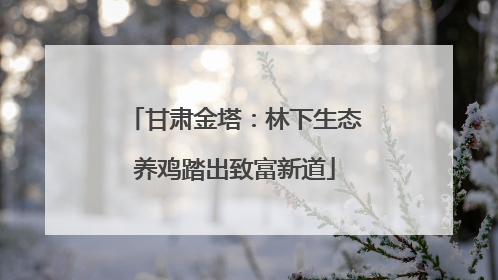 甘肃金塔：林下生态养鸡踏出致富新道