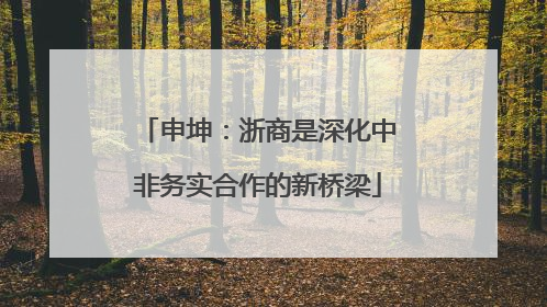 申坤：浙商是深化中非务实合作的新桥梁