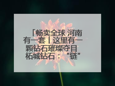 畅卖全球 河南有一套丨这里有一颗钻石璀璨夺目 柘城钻石：“链”就发展新动力