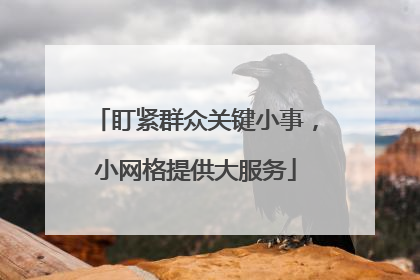 盯紧群众关键小事，小网格提供大服务