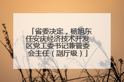 省委决定，杨旭东任安庆经济技术开发区党工委书记兼管委会主任（副厅级）